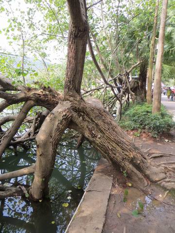 ������С ��ת IMG_5648.JPG