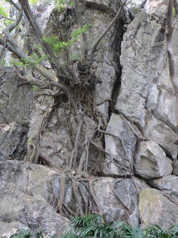 ������С ��ת IMG_5590.JPG