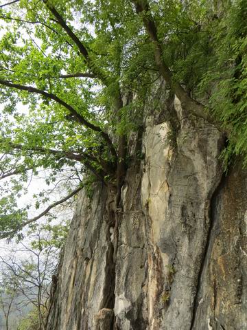 ������С ��ת IMG_5620.JPG