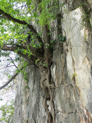 ������С ��ת IMG_5622.JPG