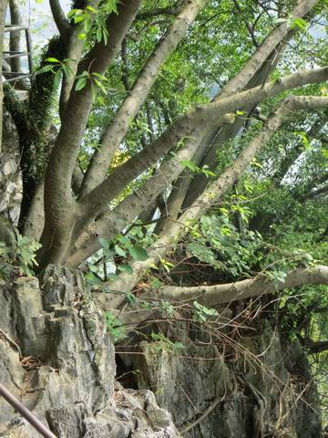 ������С ��ת IMG_5623.JPG