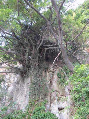 ������С ��ת IMG_5640.JPG