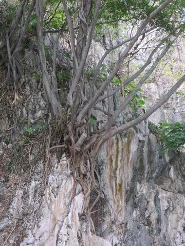 ������С ��ת IMG_5642.JPG