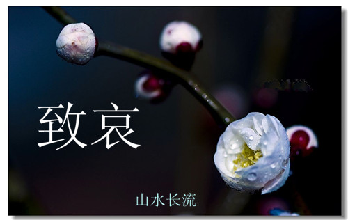 ��÷ �°�.jpg