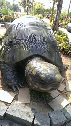 ������С IMAG1210.jpg