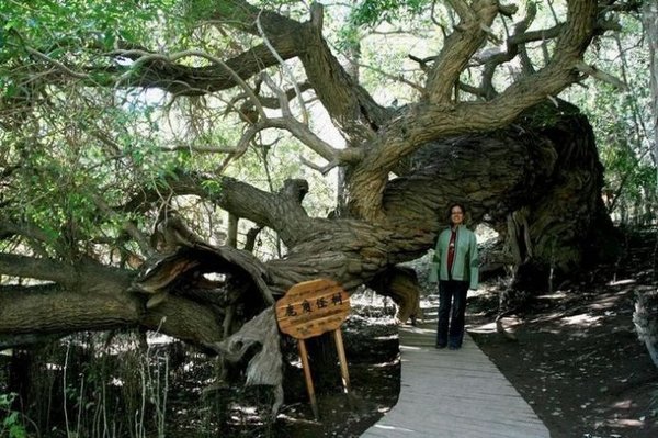 ��1 - ����.jpg