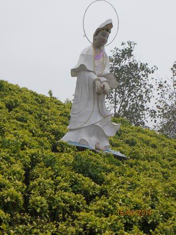 ������С ��ת IMG_5159.JPG