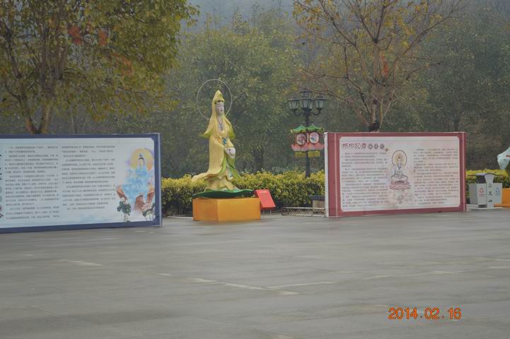 ������С DSC_2445.JPG