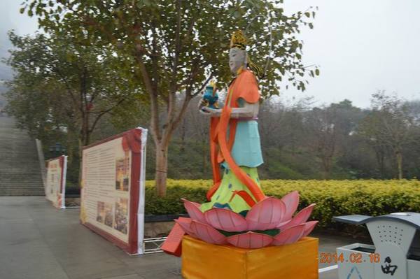 ������С DSC_2450.JPG