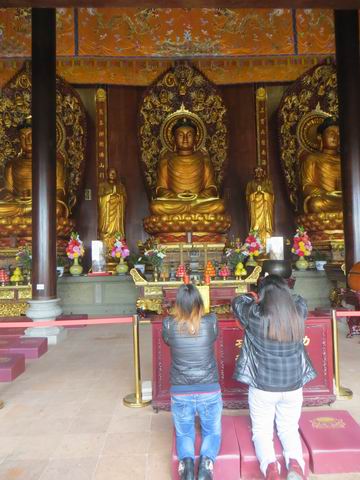 ������С ��ת IMG_5285.JPG