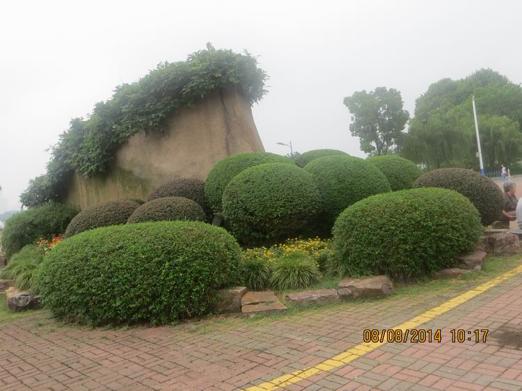 ������С IMG_8365.JPG