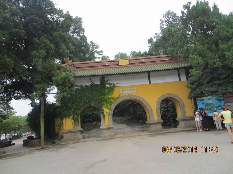 ������С IMG_8420.JPG