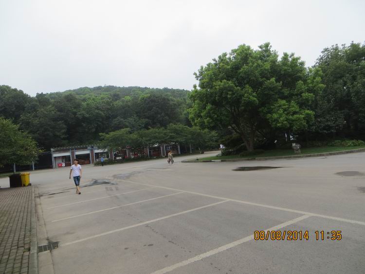 ������С IMG_8416.JPG