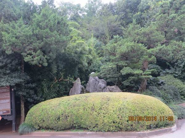 ������С IMG_8421.JPG