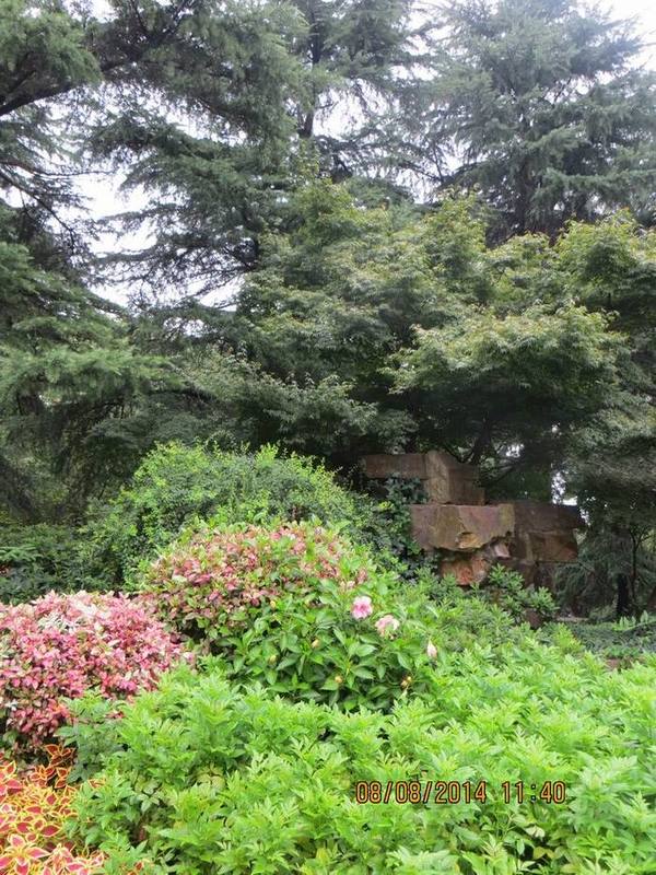 ������С IMG_8422.JPG