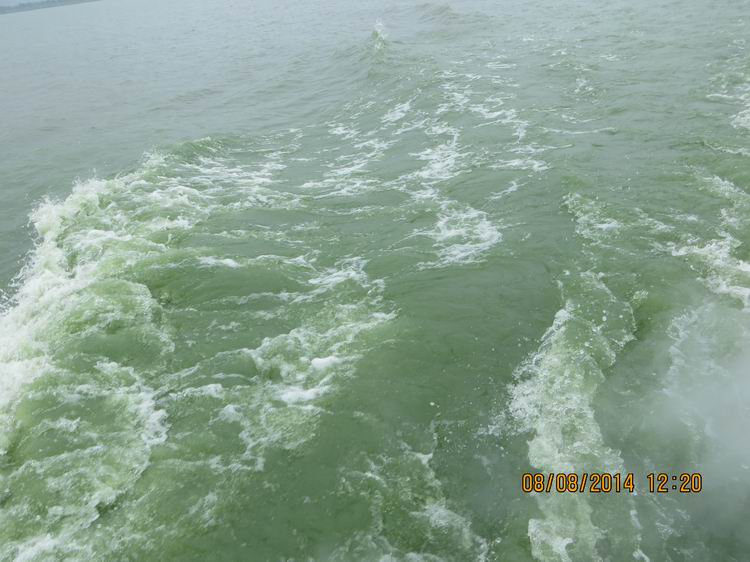 ������С IMG_8458.JPG