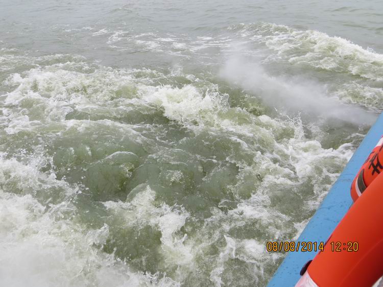 ������С IMG_8456.JPG