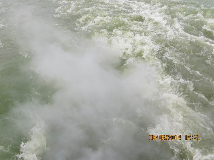 ������С IMG_8457.JPG