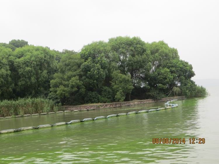 ������С IMG_8477.JPG