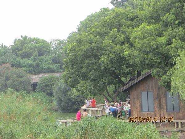 ������С IMG_8497.JPG