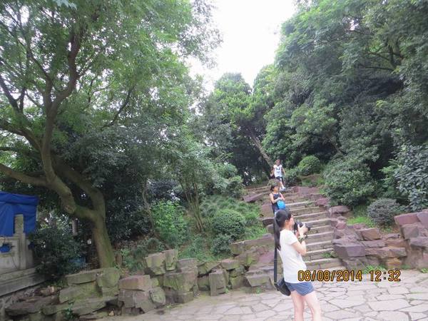 ������С IMG_8487.JPG