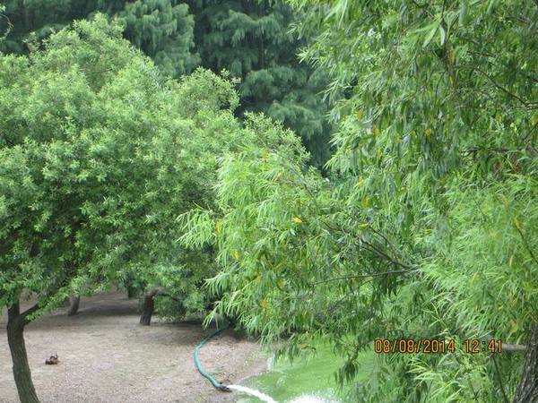 ������С IMG_8506.JPG