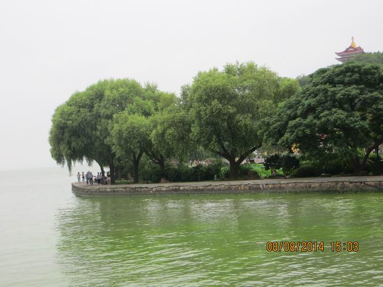 ������С IMG_8663.JPG