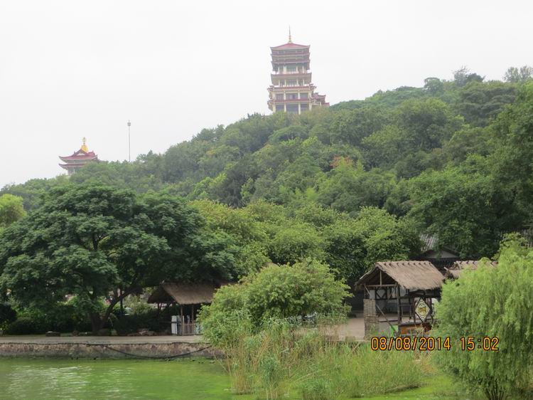 ������С IMG_8662.JPG