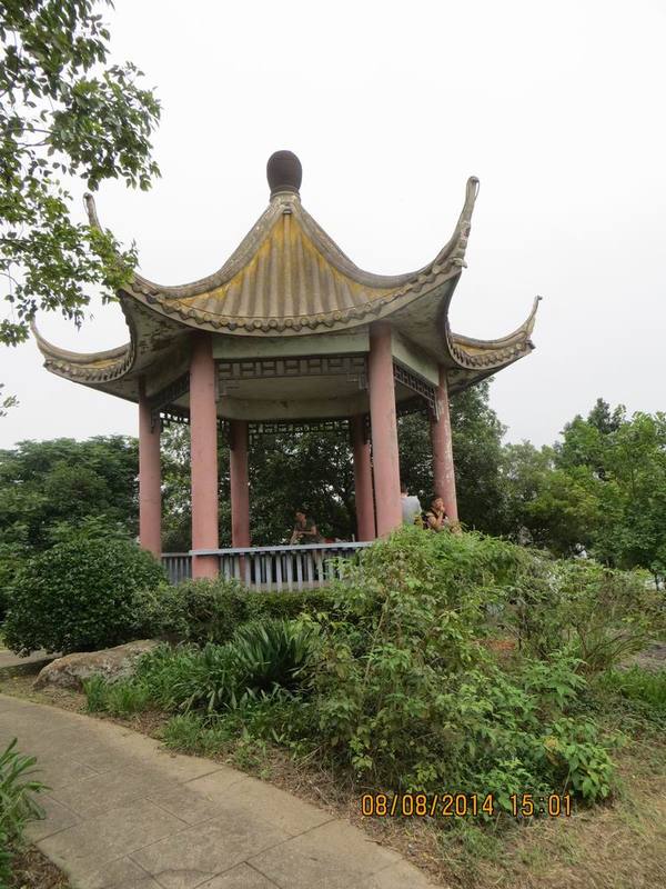 ������С IMG_8660.JPG