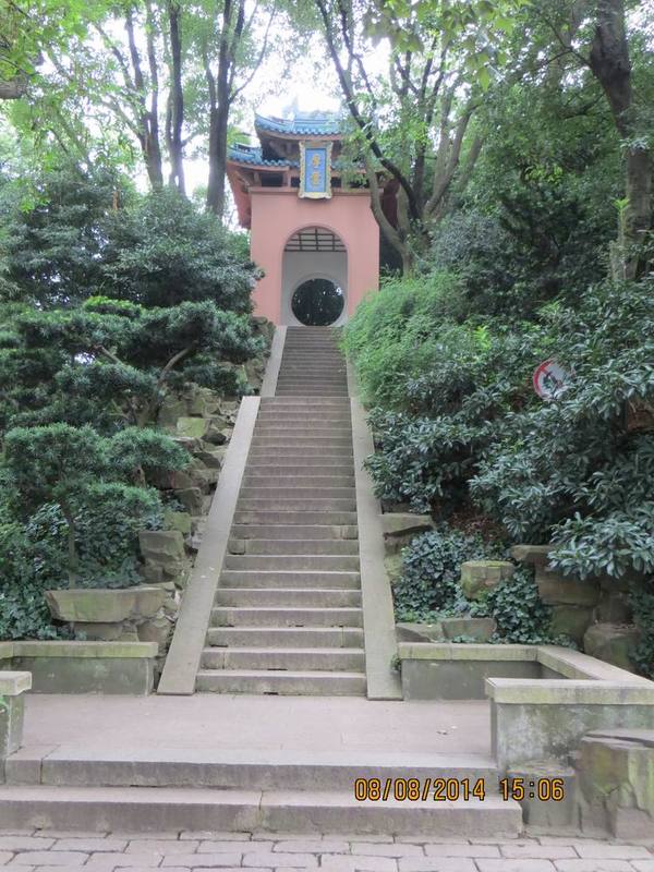 ������С IMG_8664.JPG