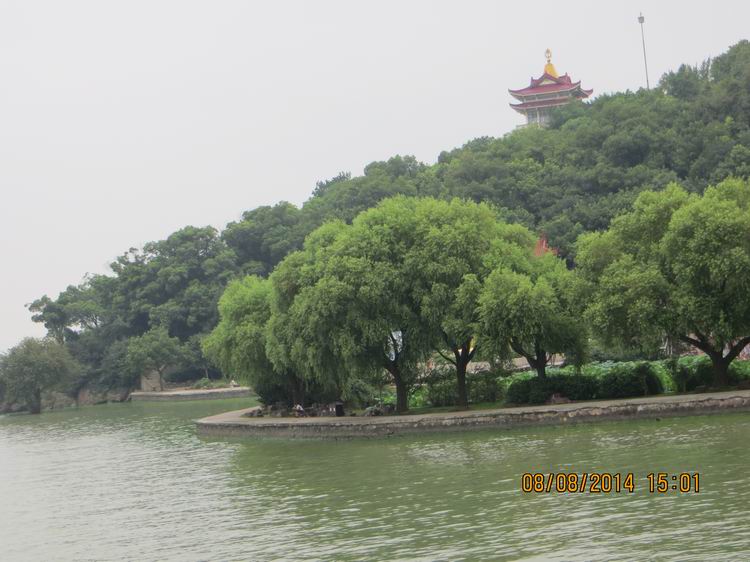 ������С IMG_8659.JPG