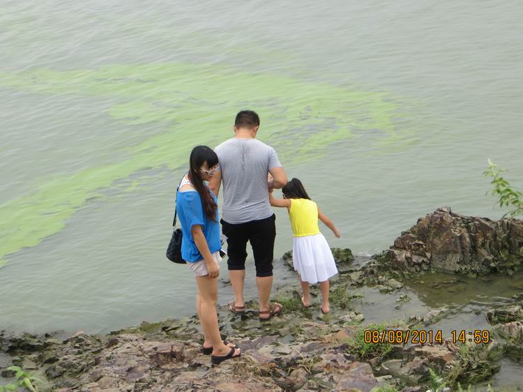 ������С IMG_8655.JPG