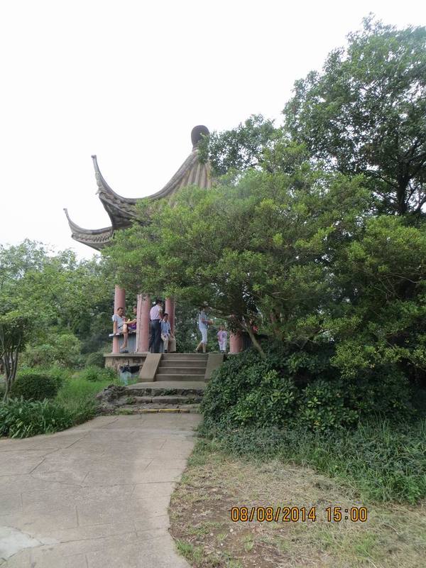 ������С IMG_8656.JPG