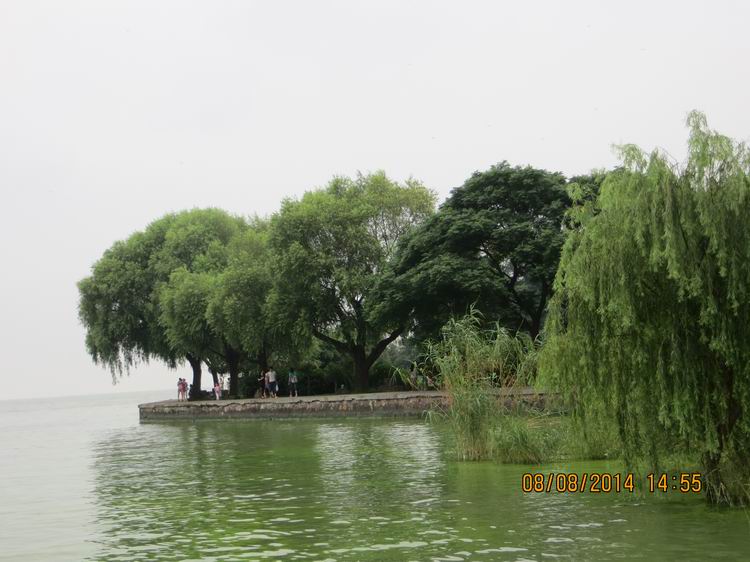 ������С IMG_8648.JPG