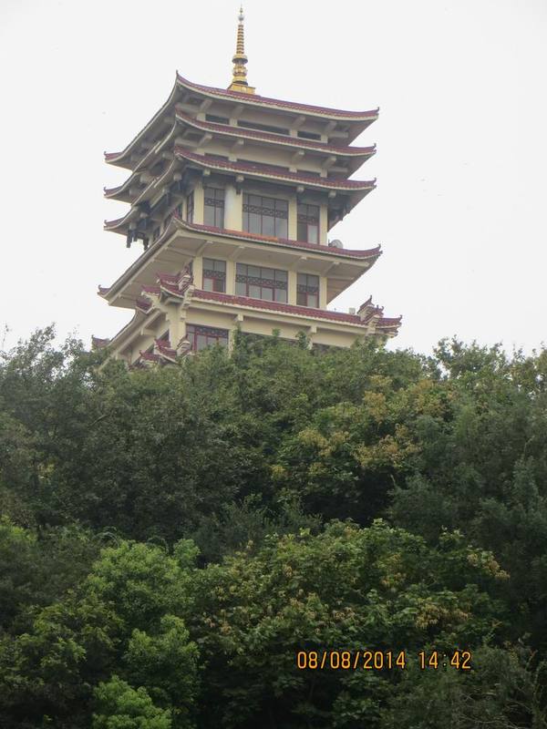 ������С IMG_8636.JPG