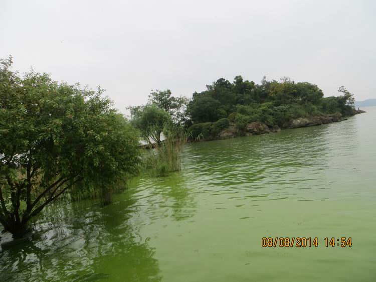 ������С IMG_8646.JPG