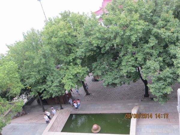 ������С IMG_8604.JPG