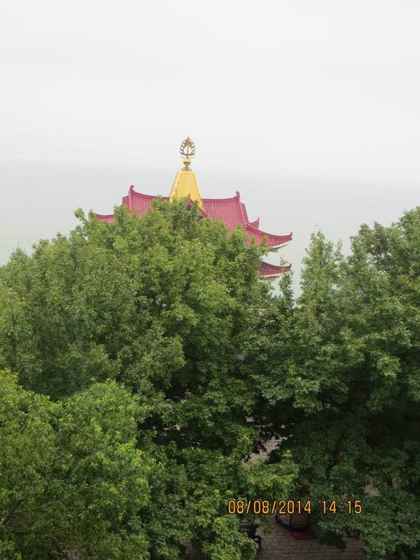 ������С IMG_8599.JPG