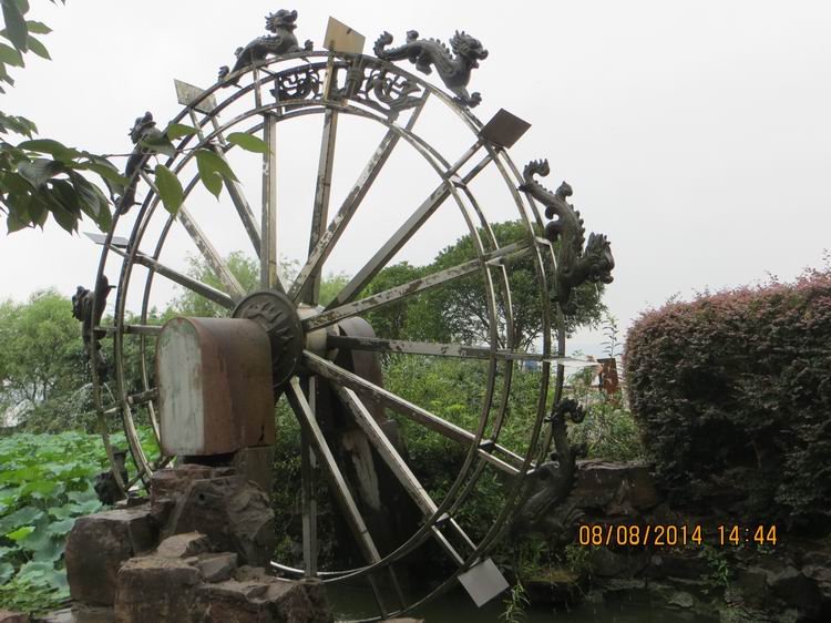 ������С IMG_8639.JPG