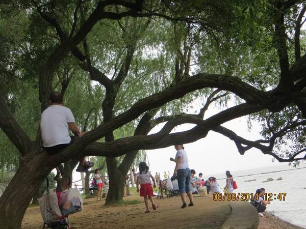 ������С IMG_8523.JPG