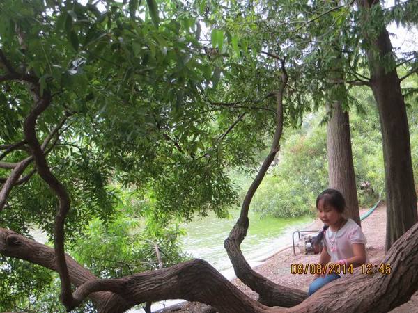 ������С IMG_8515.JPG