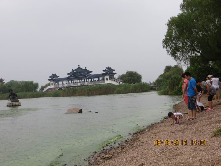 ������С IMG_8541.JPG