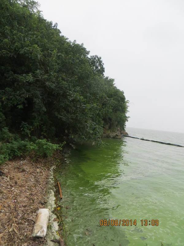 ������С IMG_8551.JPG