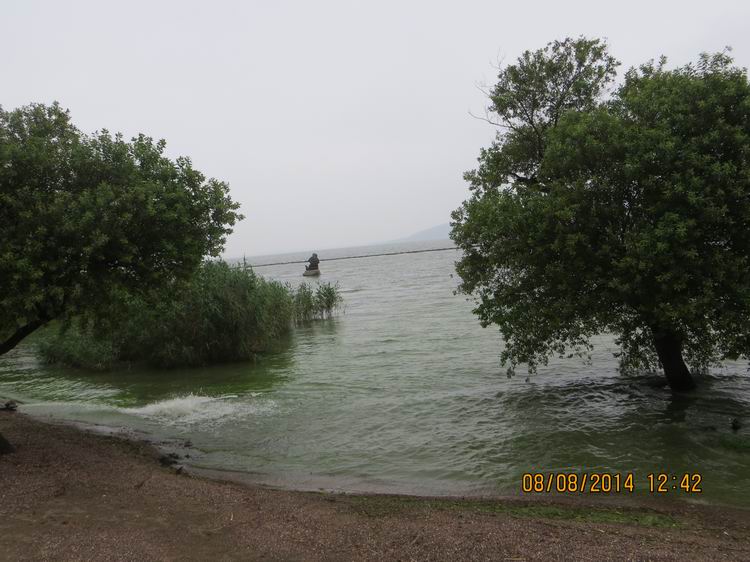 ������С IMG_8508.JPG