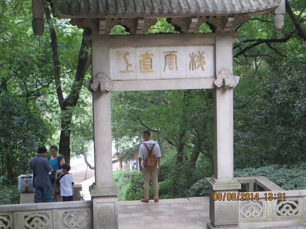 ������С IMG_8560.JPG