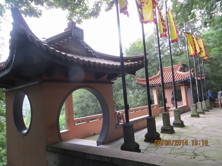 ������С IMG_8558.JPG