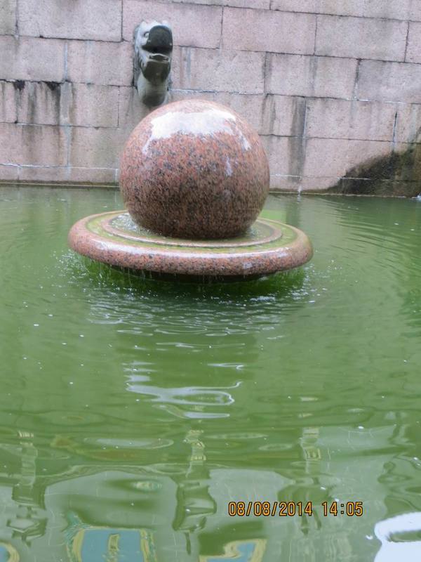 ������С IMG_8589.JPG