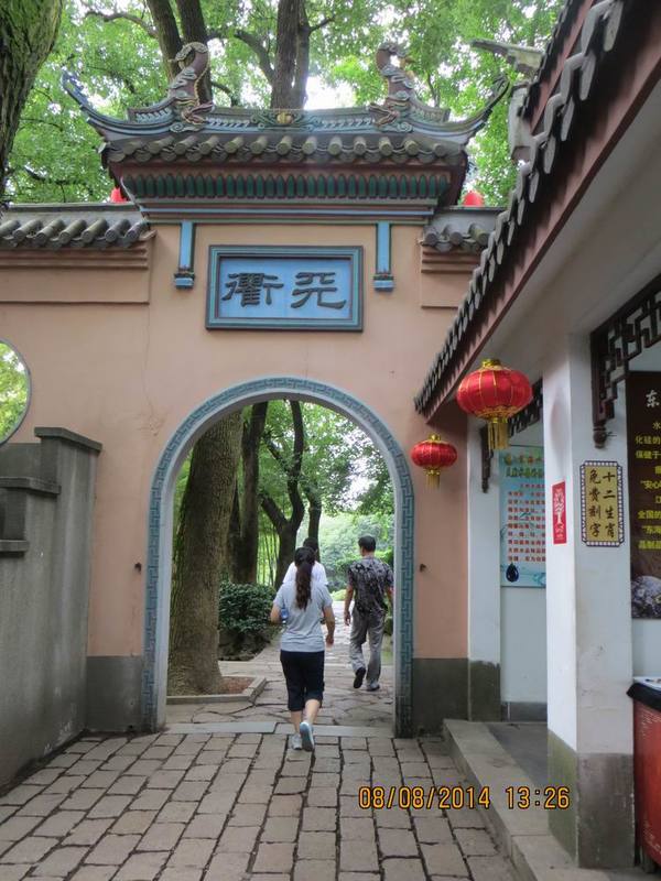 ������С IMG_8571.JPG