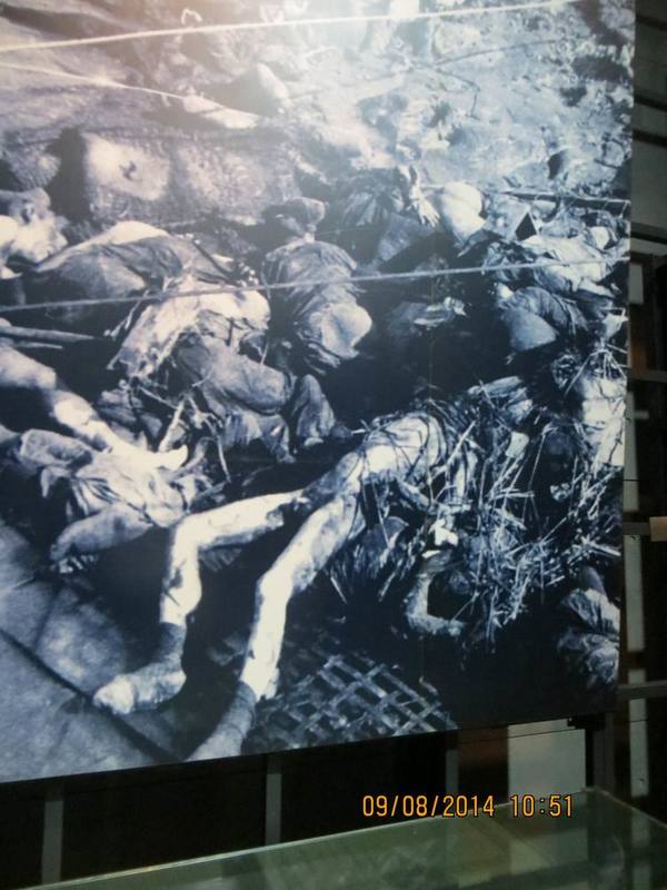 ������С IMG_8724.JPG