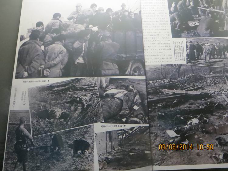 ������С IMG_8720.JPG